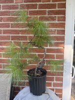 IMG_1317.JPG