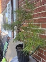 IMG_1319.JPG