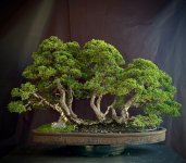 IMG_1703.jpeg