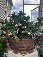 IMG_9610.jpeg