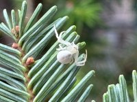 IMG_3774.jpeg