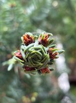 IMG_4145.jpeg