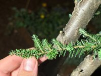 IMG_5118.jpeg