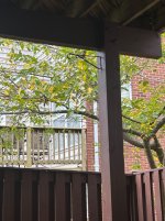 IMG_6788.jpeg