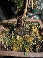 IMG_9831.jpeg
