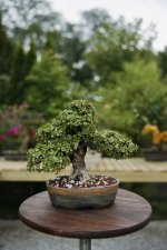 AI2A7047.JPEG AI2A7047.JPEG