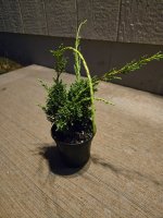 20250924_064926.jpg