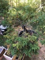 IMG_0492.jpeg