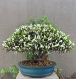 thumbnail_IMG_5642.jpg