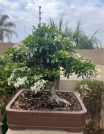 thumbnail_IMG_5643.jpg