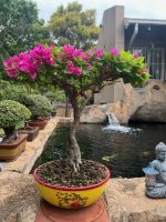 thumbnail_IMG_5644.jpg