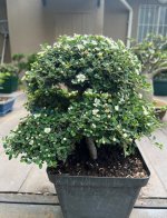 thumbnail_IMG_5646.jpg