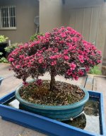 thumbnail_IMG_5647.jpg
