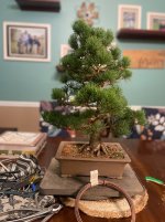 IMG_5099.jpeg