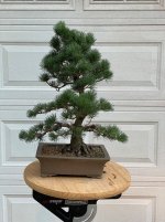 IMG_5104.jpeg