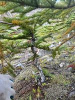 IMG_5925.jpeg
