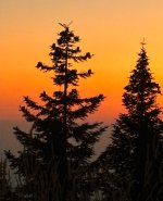 IMG_5904.jpeg