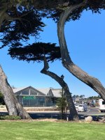 IMG_7983.jpeg IMG_7983.jpeg