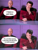1758826838568.png