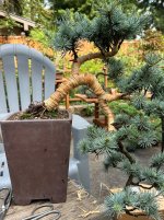 IMG_4179.jpeg