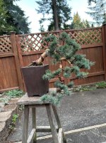 IMG_4182.jpeg