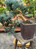 IMG_4180.jpeg