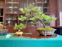 IMG_5404.jpeg