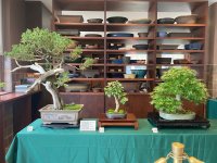 IMG_5377.jpeg