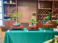 IMG_5373.jpeg