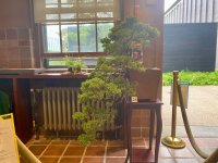 IMG_5383.jpeg