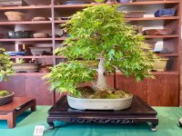 IMG_5401.jpeg