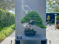 IMG_5428.jpeg