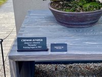 IMG_5429.jpeg