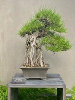 IMG_5418.jpeg