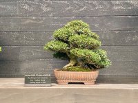IMG_5412.jpeg