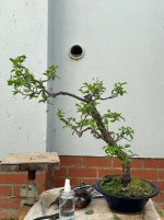 IMG_4372.jpeg