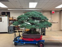 IMG_7109.jpeg