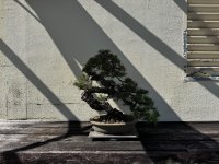 IMG_7091.jpeg