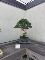 IMG_7071.jpeg