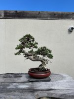 IMG_7058.jpeg