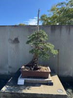 IMG_7040.jpeg