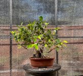 IMG_6746.jpeg