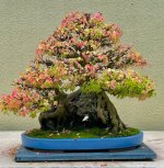 IMG_4256.jpeg