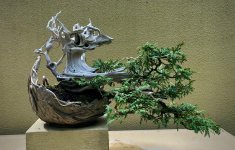 IMG_6873.jpeg