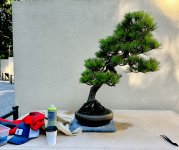 IMG_4197.jpeg