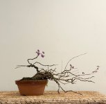 IMG_6793.jpeg