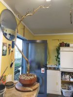 IMG_20250824_163416.jpg
