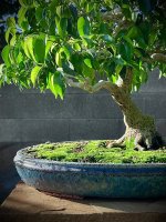 IMG_1454.jpeg