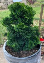 IMG_1843.jpeg