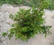 IMG_1841.jpeg